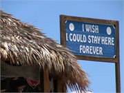 HalfMoonCay_06212010-IMG_2772