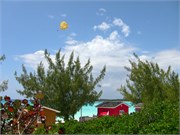 HalfMoonCay_06212010-IMG_2787