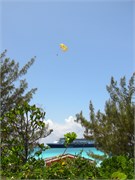 HalfMoonCay_06212010-IMG_2791