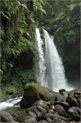 Dominica_04182010-DSC_1611