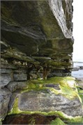 07272010B_Thurso_103