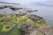 07272010B_Thurso_104