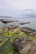 07272010B_Thurso_106