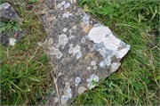 07272010B_Thurso_189