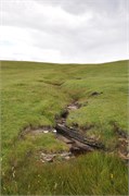 07272010B_Thurso_196