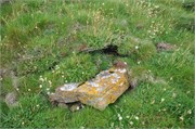 07272010B_Thurso_208