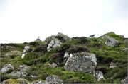 07282010A_Runavik_34