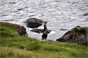 07282010A_Runavik_53