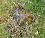 07282010B_Runavik_48