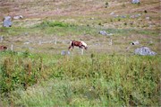 07312010A_Isafjordur_65