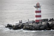08142010A_Amsterdam_119