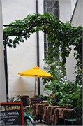 08172010A_Talinn_66