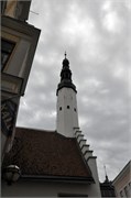08172010B_Talinn_70