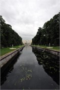 08182010B_Petrograd_476