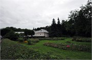 08182010B_Petrograd_525