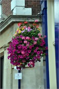 07242010A_Gravesend_28