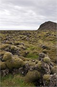 07302010B_Reykjavik_325