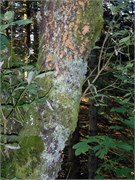 08102010ST_Bergen_213