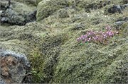 07302010A_Reykjavik_158