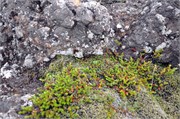 07302010B_Reykjavik_143