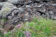 07302010B_Reykjavik_307
