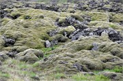 07302010A_Reykjavik_155