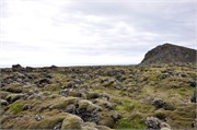 07302010B_Reykjavik_319