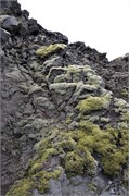 07302010B_Reykjavik_535