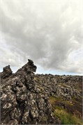 07302010B_Reykjavik_575