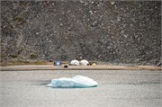 08052010A_MagdalenaFijord_39