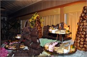 2_08082010A_Chocolate_21