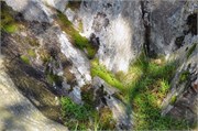 08102010A_Bergen_41