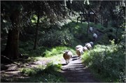 08102010A_Bergen_58