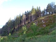 08102010ST_Bergen_172