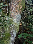 08102010ST_Bergen_213