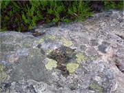 08102010ST_Bergen_227