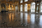 2_08182010B_Petrograd_206