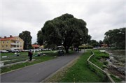 08212010B_Stockholm_285