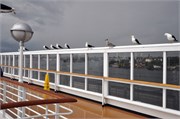 08212010B_Stockholm_305