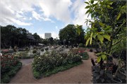 08242010B_Copenhagen_107
