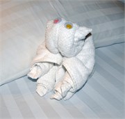 08012010B_Akureyri_79