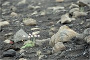 07302010A_Reykjavik_66