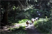 08102010A_Bergen_58