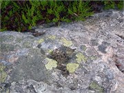 08102010ST_Bergen_227