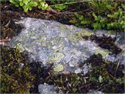 08102010ST_Bergen_228
