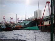 P7040018
