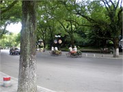 P7070048