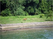 P7070070