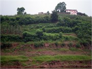 P7110282