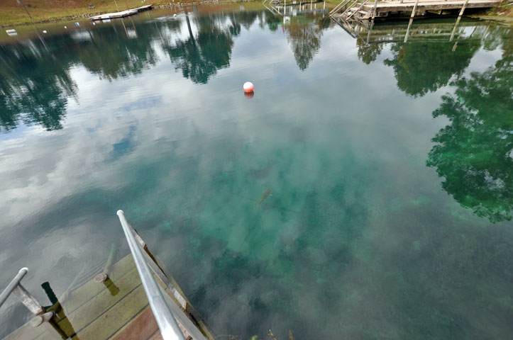 image, The Barrow Family